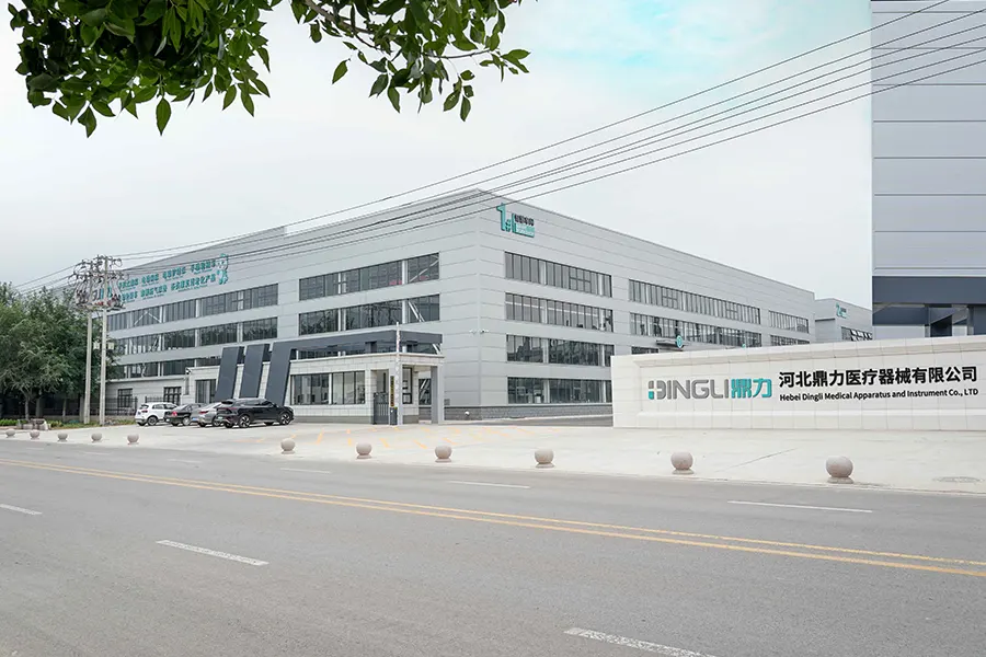 International client visiting Hebei factory heritage photo